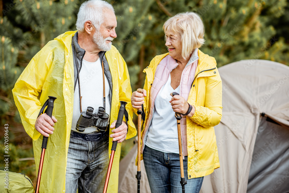 一对穿着黄色雨衣的老年夫妇站在年轻松林中的露营地，带着帐篷