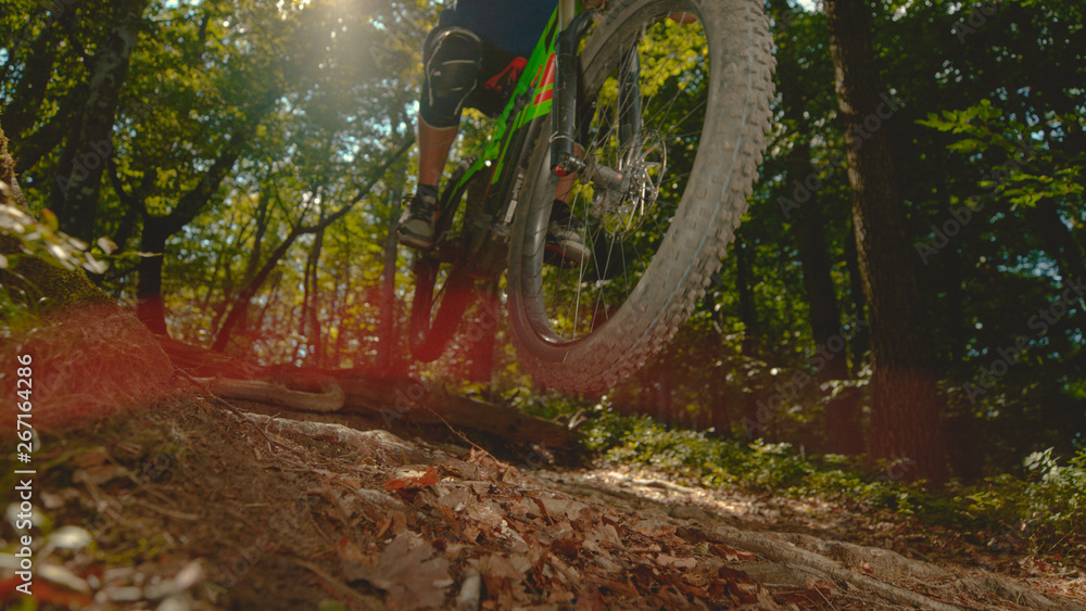 自下而上：当山地自行车手骑行穿过森林时，阳光照射在他身上。