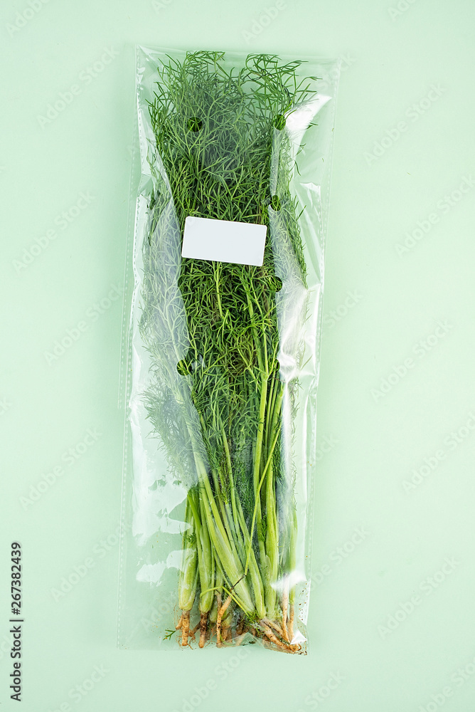 一包浅绿色背景的新鲜蔬菜茴香