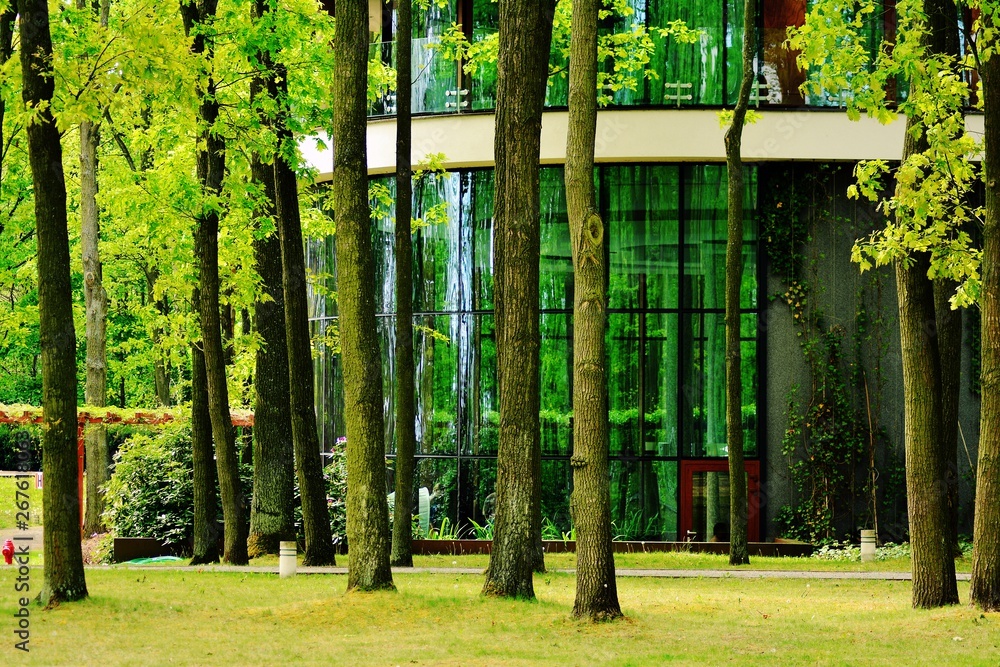 View of contemporary glass building with green trees