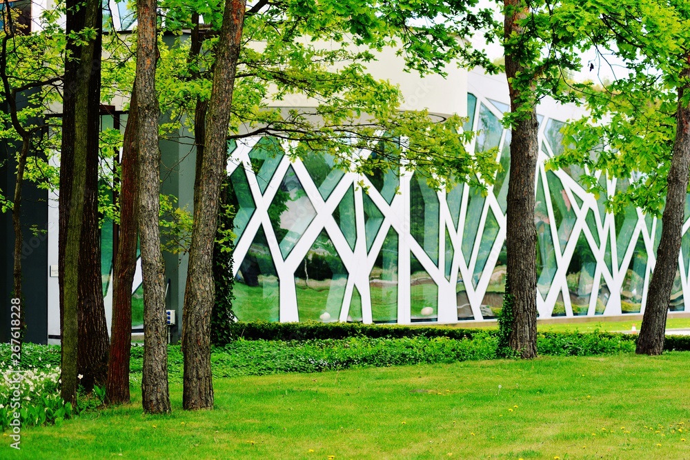 绿树成荫的当代玻璃建筑景观