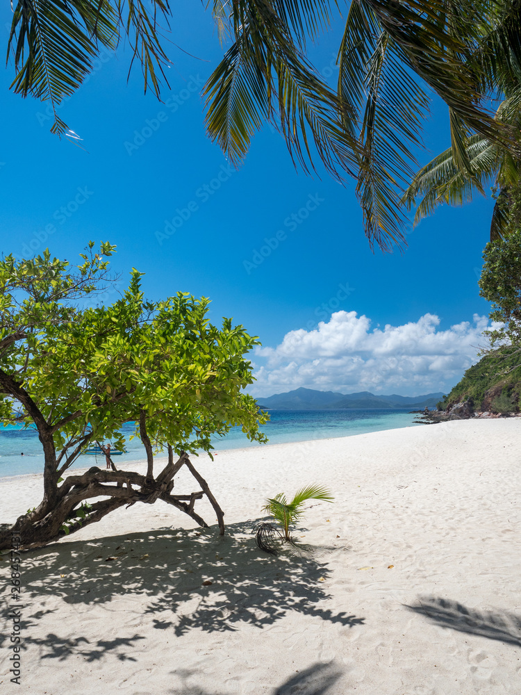 Tropical beach with white sand on the Malcapuya Island, Busuanga, Palawan, Philippines. Beautiful tr