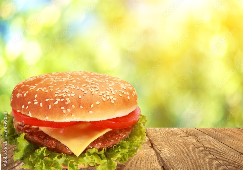 Hamburger on white background, menu for cafe and fast-food restaurant