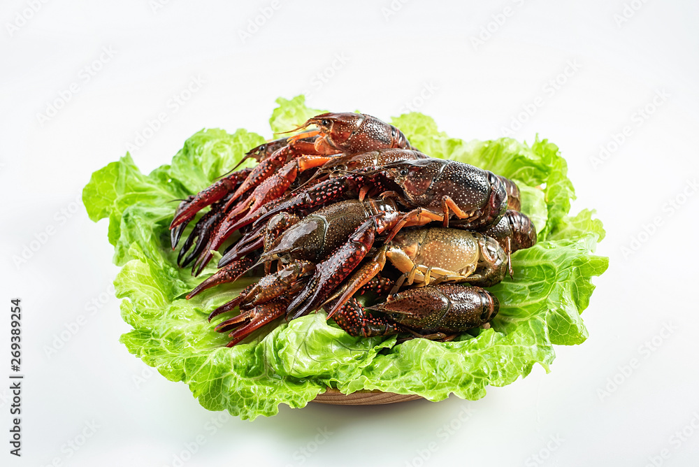 Crayfish with a dish cleaned on a white background