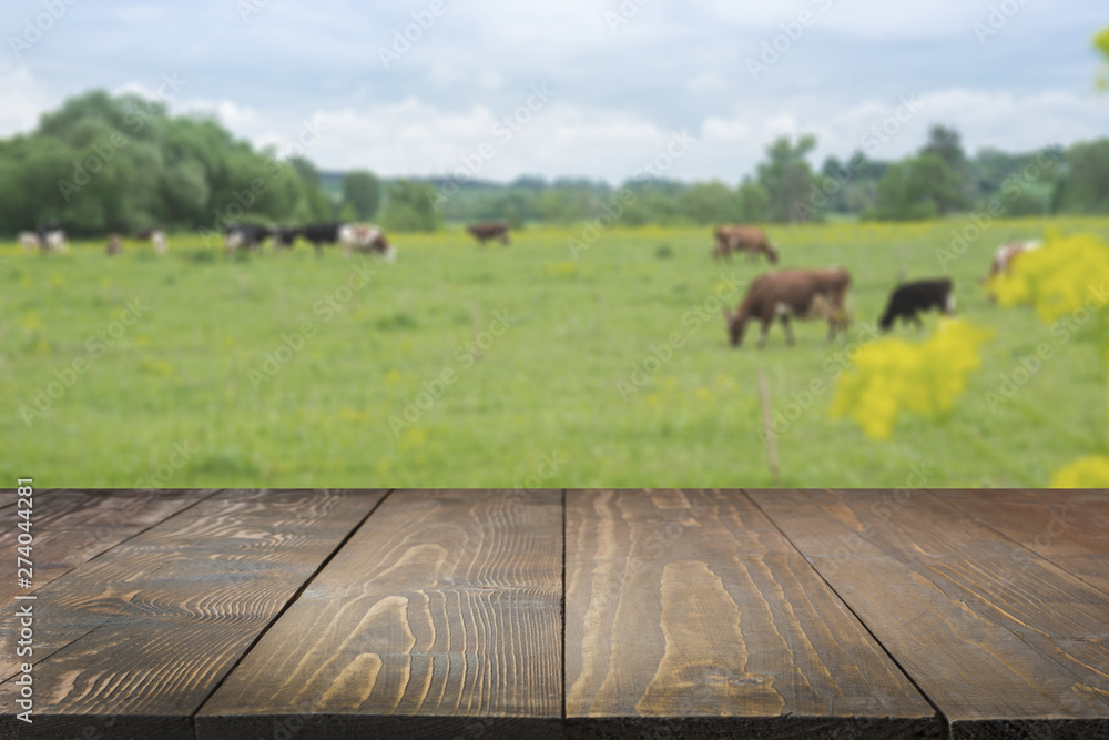 Empty wooden tabletop and blurred rural background of cows on green field and meadow with grass. Dis