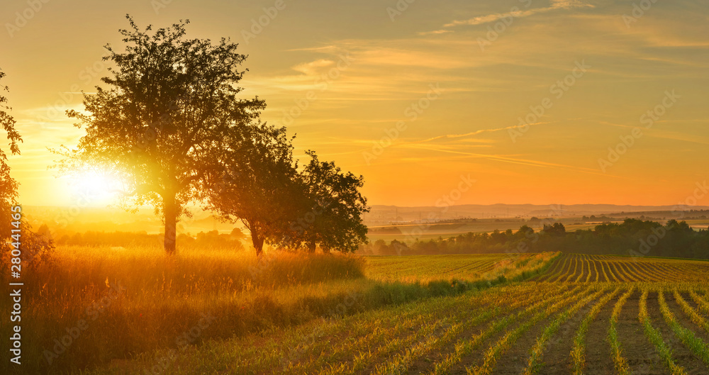Sunrise farmland