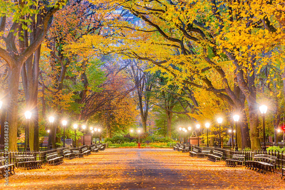 纽约市中央公园秋季
