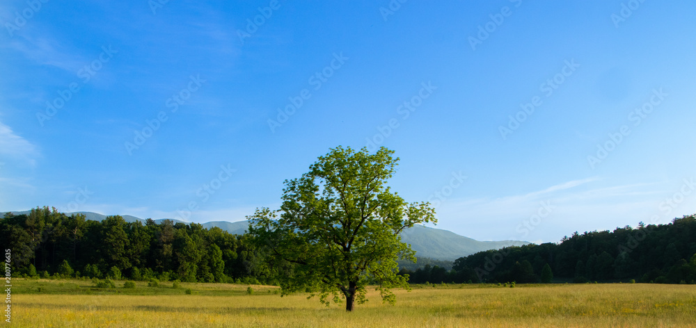 Scenic mountain valley landscape in the Smoky Mountains
