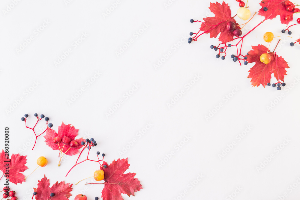 白色背景上有彩色秋叶和浆果的平面框架