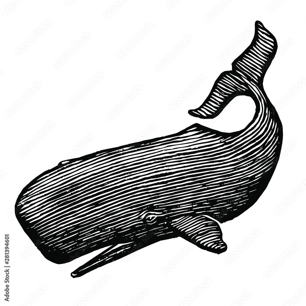 抹香鲸的插图是一种粗糙的木刻风格