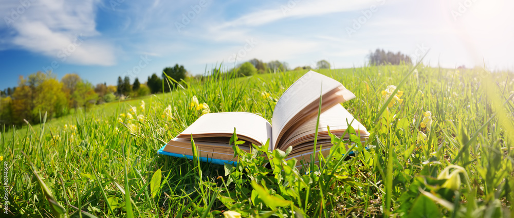 在田野的草地上打开书本