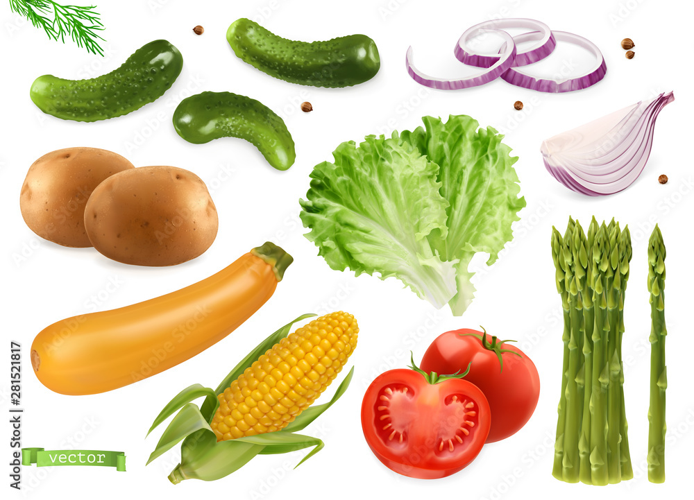 黄瓜、香菜籽、洋葱、土豆、生菜、西葫芦、玉米、番茄、芦笋。蔬菜