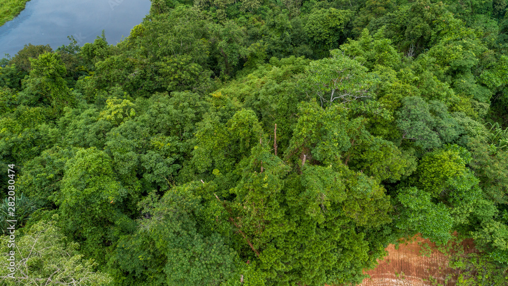 热带雨林鸟瞰图