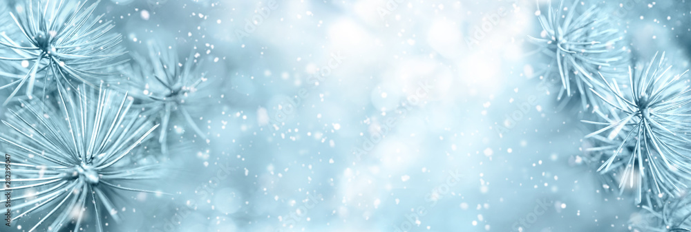 圣诞冬季雪背景，冷杉树枝宏观，焦点柔和，蓝色调降雪