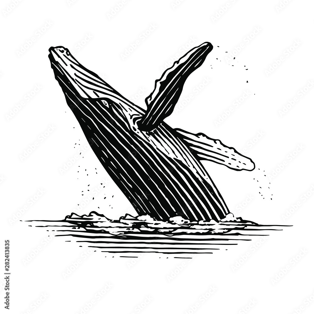 跳跃座头鲸的插图是复古木刻风格