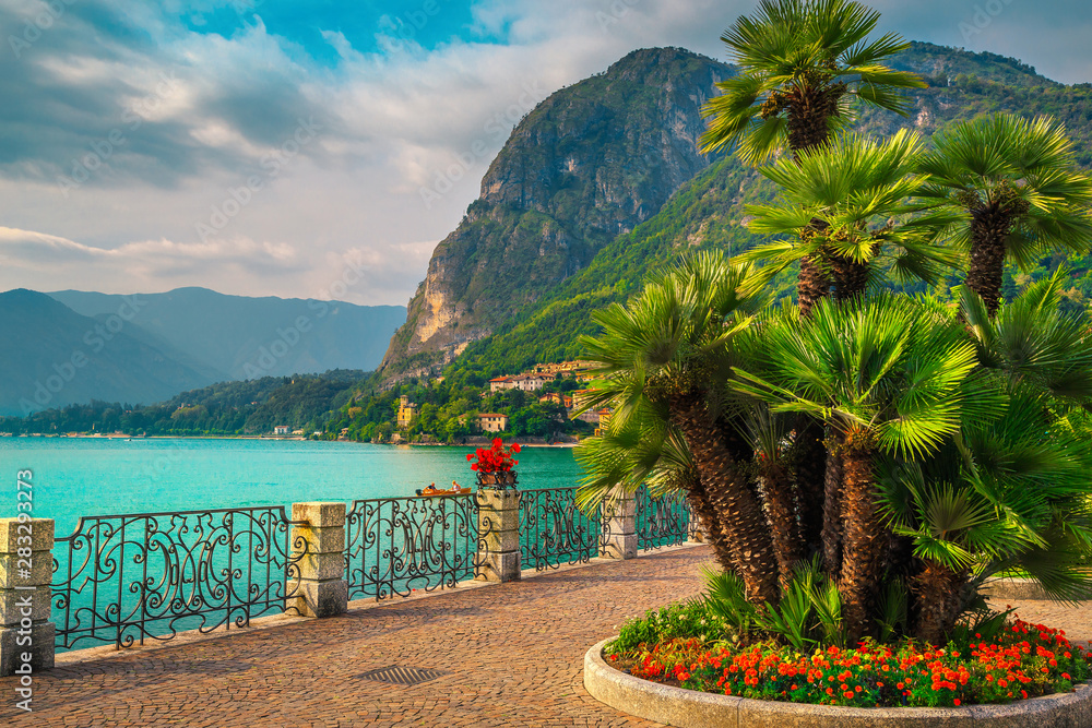 Colorful flowers and beautiful promenade, Lake Como, Menaggio, Lombardy, Italy