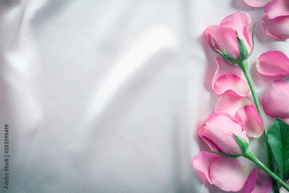 一束甜美的粉红色玫瑰，柔软的粉红色丝绸面料上的花瓣，浪漫和爱情卡片的概念