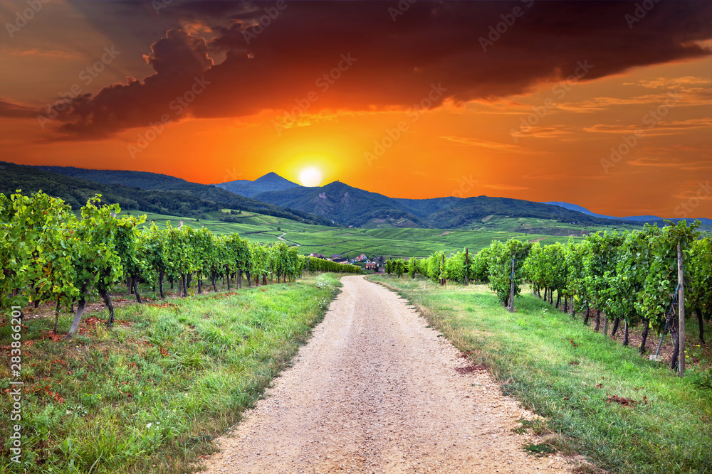 法国阿尔萨斯地区葡萄园中部Hunawihr葡萄酒村的日落景色