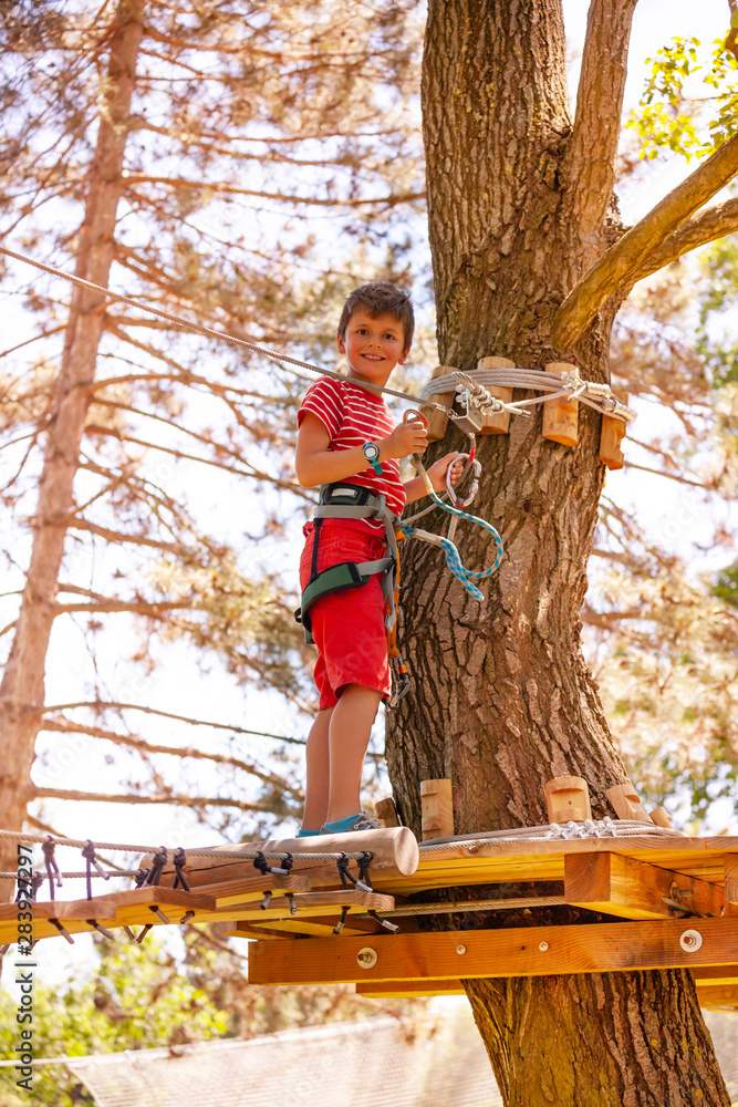 绳索公园树平台上的快乐男孩画像