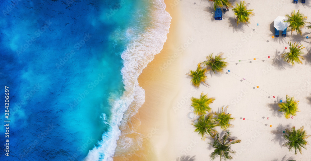 棕榈树和海洋作为俯视图的背景。海滩和沙滩背景。夏季