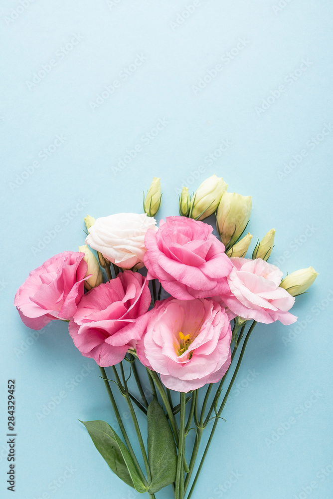 美丽的桔梗花朵时尚海报背景材料
