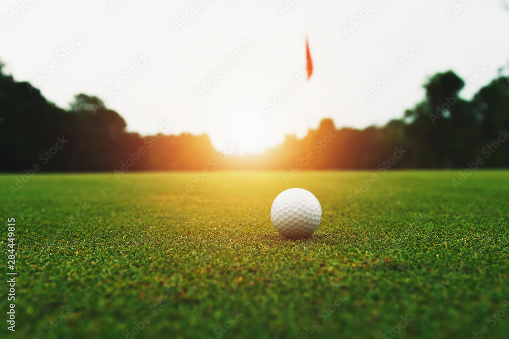 绿色草地上的高尔夫球，有洞，有阳光