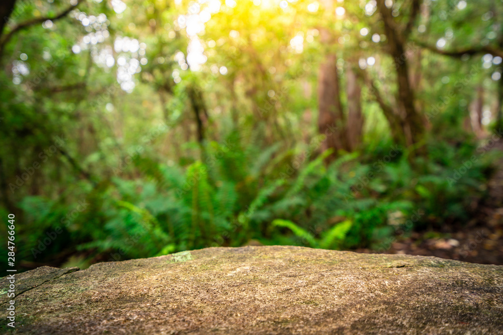 澳大利亚塔斯马尼亚丛林中用于产品展示的空石桌。自然产品广告