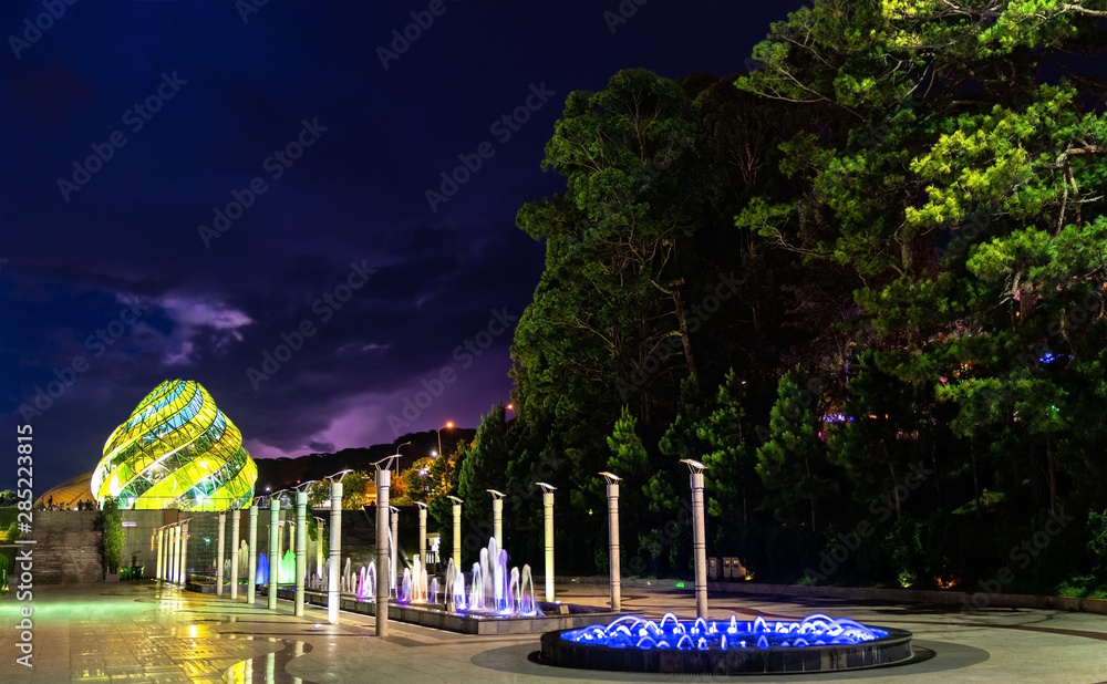越南大叻市中心的喷泉