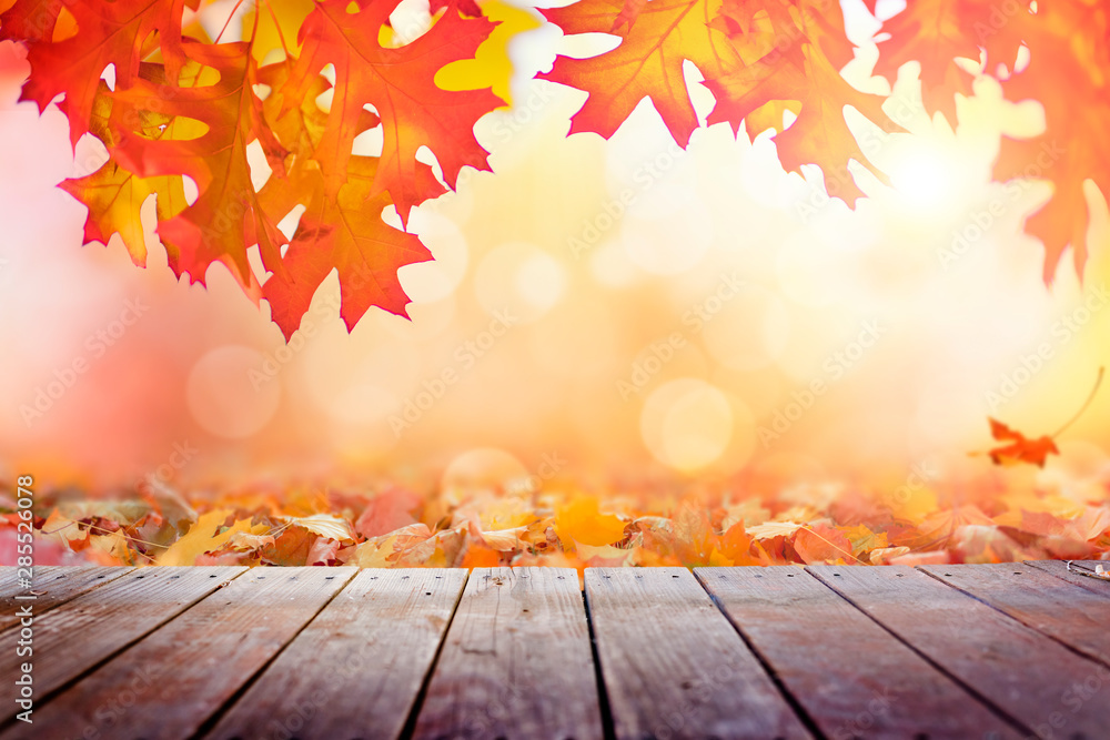 木质甲板，晴天背景下有五颜六色的秋叶，多色树叶背景