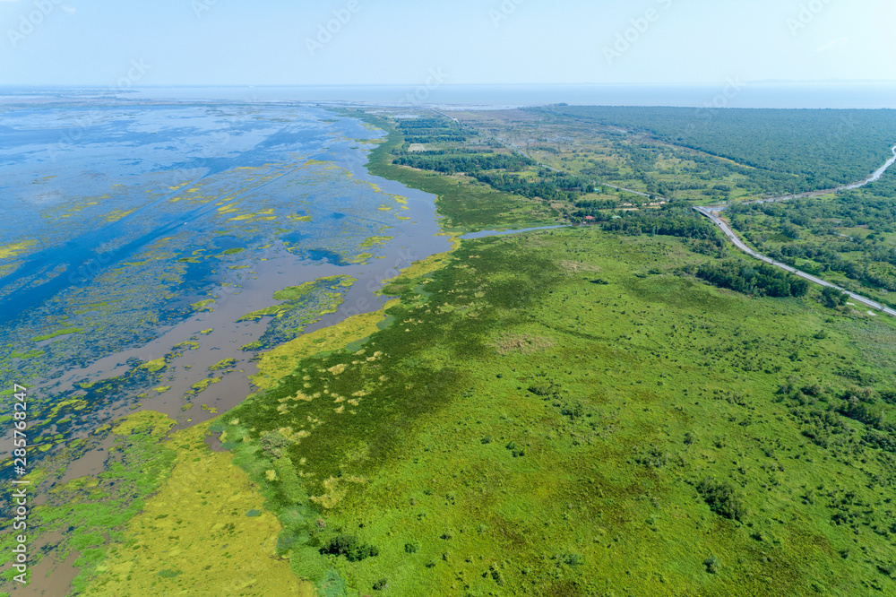 鸟瞰无人机拍摄了绿色森林和湖泊的俯视图，为bac拍摄了美丽的荒野自然风光
