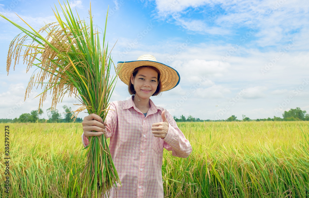 亚洲农民妇女戴着帽子，穿着粉色条纹衬衫，手里拿着金色的稻田，举起大拇指