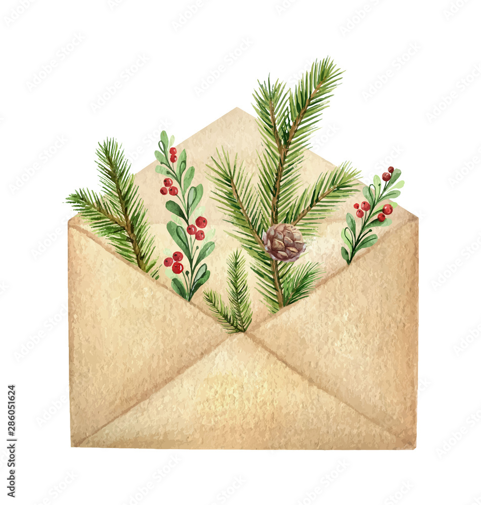 带有绿色云杉树枝和红色浆果的水彩矢量邮政信封。