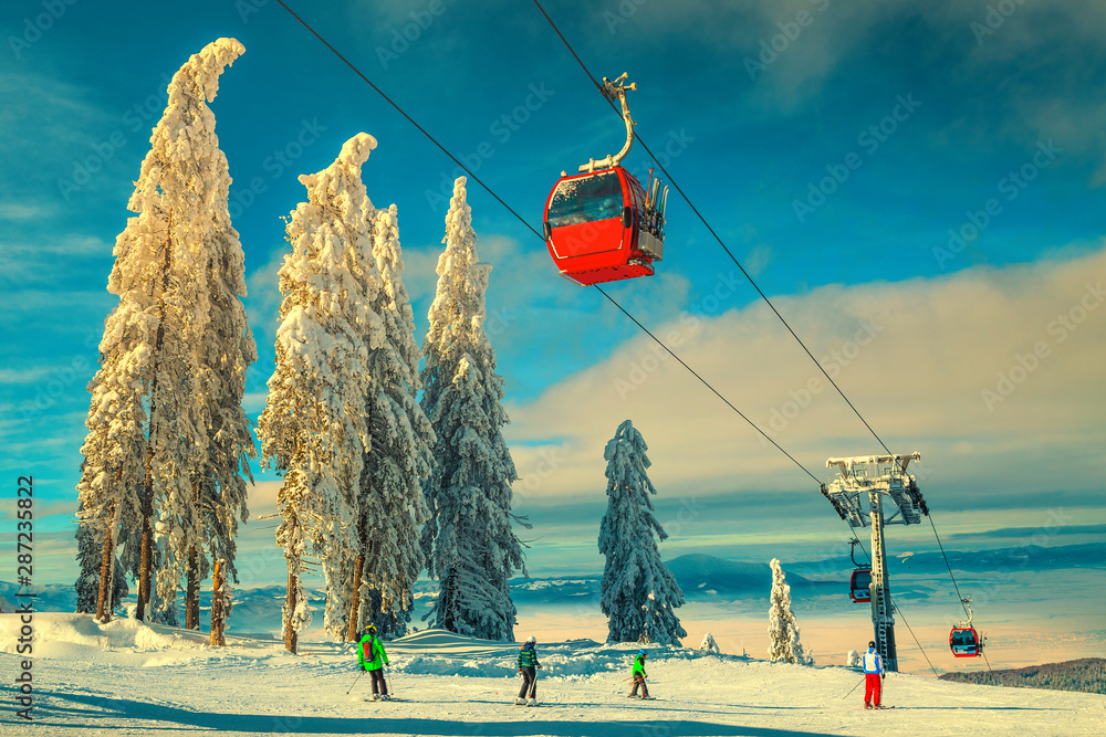 冬季滑雪场，有白雪覆盖的树木和活跃的滑雪者