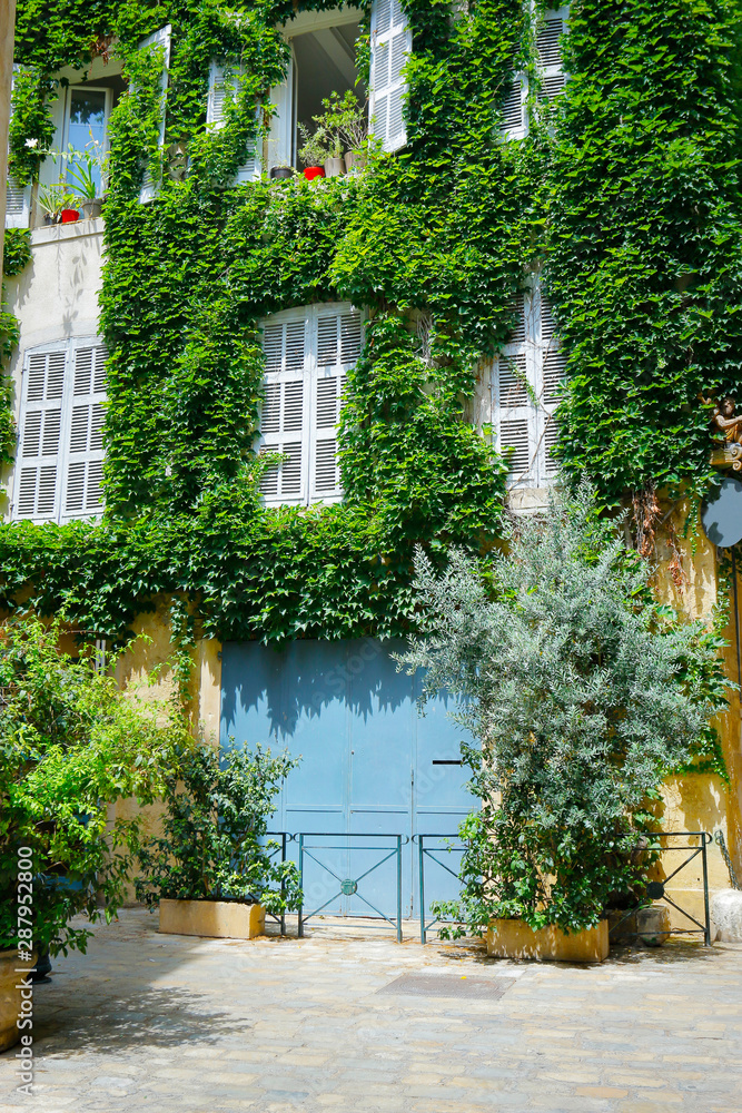  facade with ivy of mediterranean building 