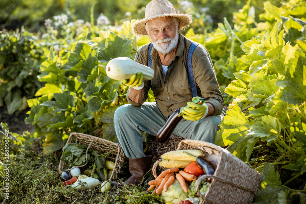 一位穿着考究的高级农学家的画像，他在户外花园里拿着刚摘下的蔬菜