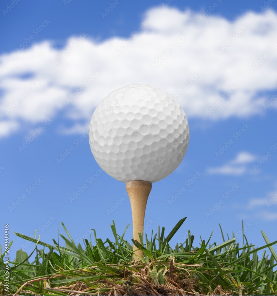 白色背景隔离的高尔夫球。运动和娱乐概念