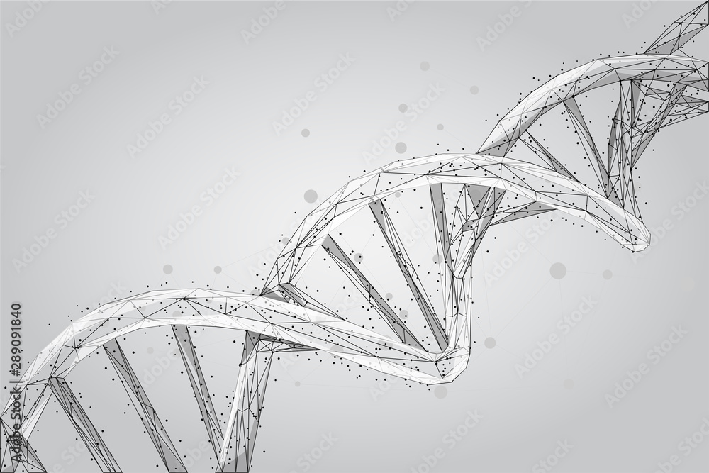 抽象三维多边形线框DNA分子螺旋。医学，遗传生物技术，c