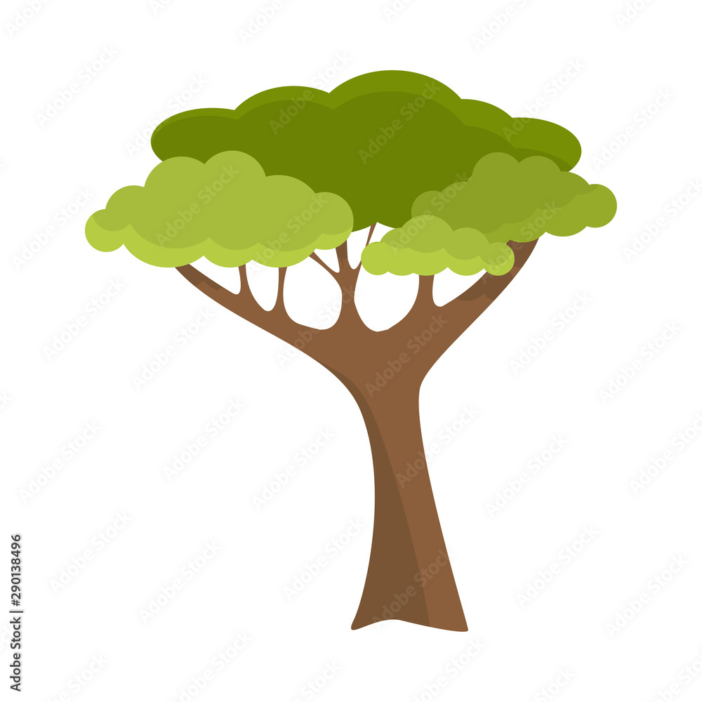 Deciduous tree with light green crown and long trunk illustration