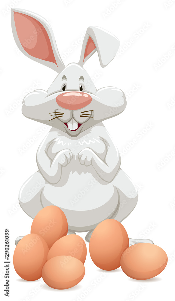 大白兔配鸡蛋