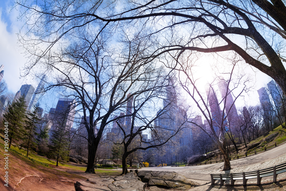 从中央公园看纽约的早春美景
