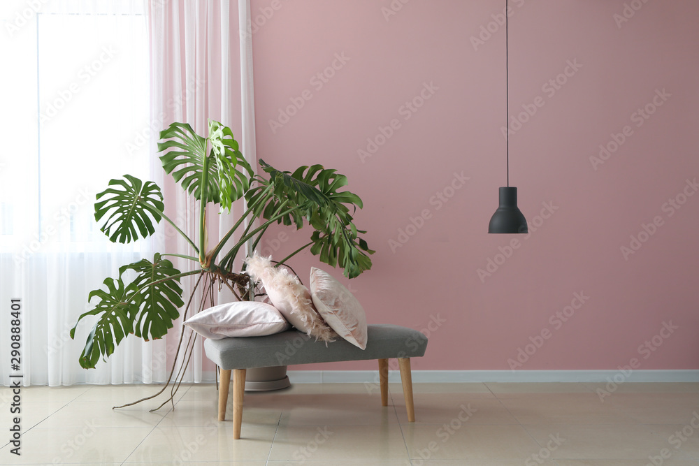 Interior of modern room with bench and exotic houseplant