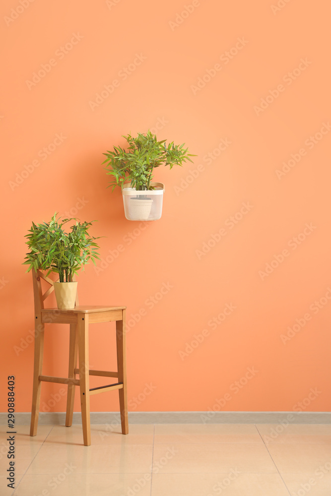 带室内植物和椅子的现代房间内部