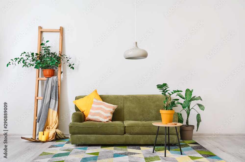 Stylish interior of living room with sofa and plants