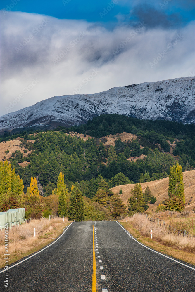 新西兰南岛的一条空沥青路，可以欣赏到树木和山脉的美景。