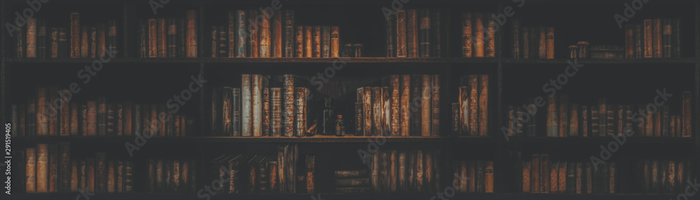 全景模糊的书架书店或图书馆里有很多旧书