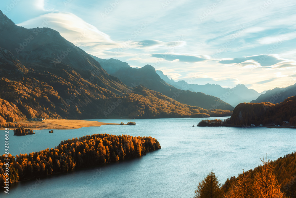 瑞士阿尔卑斯山秋季西尔斯湖（Silsersee）的壮丽景色。背景上有黄色落叶松的秋季森林