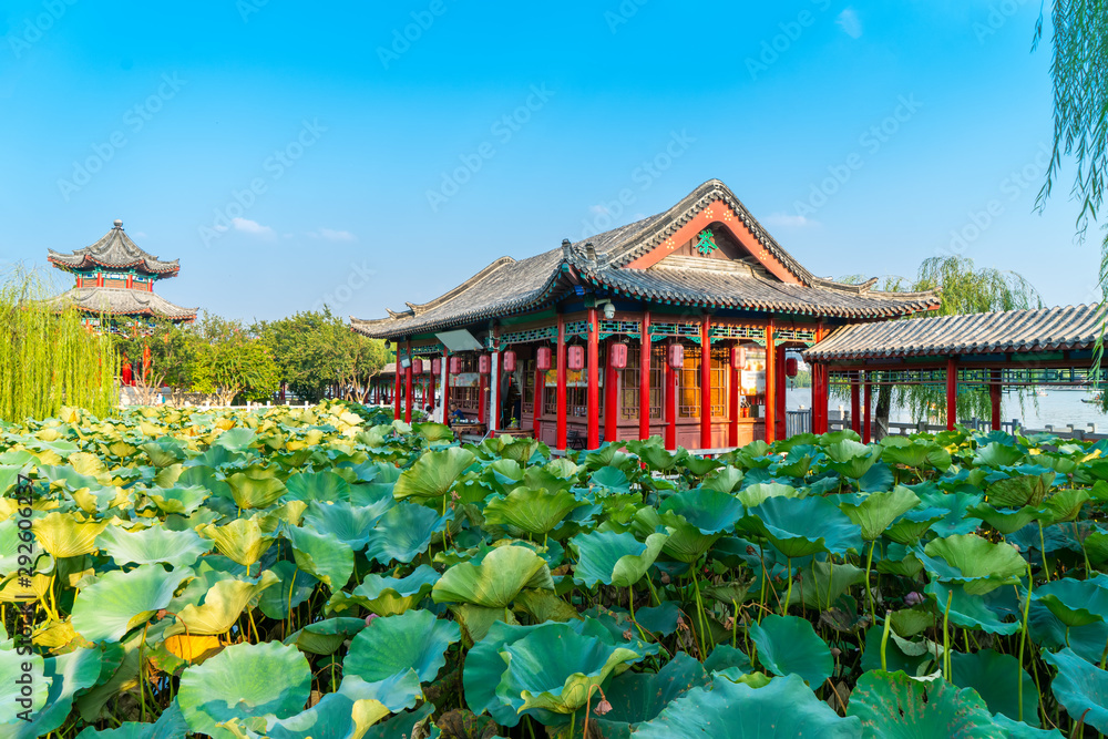 济南大明湖的美丽景观与建筑景观