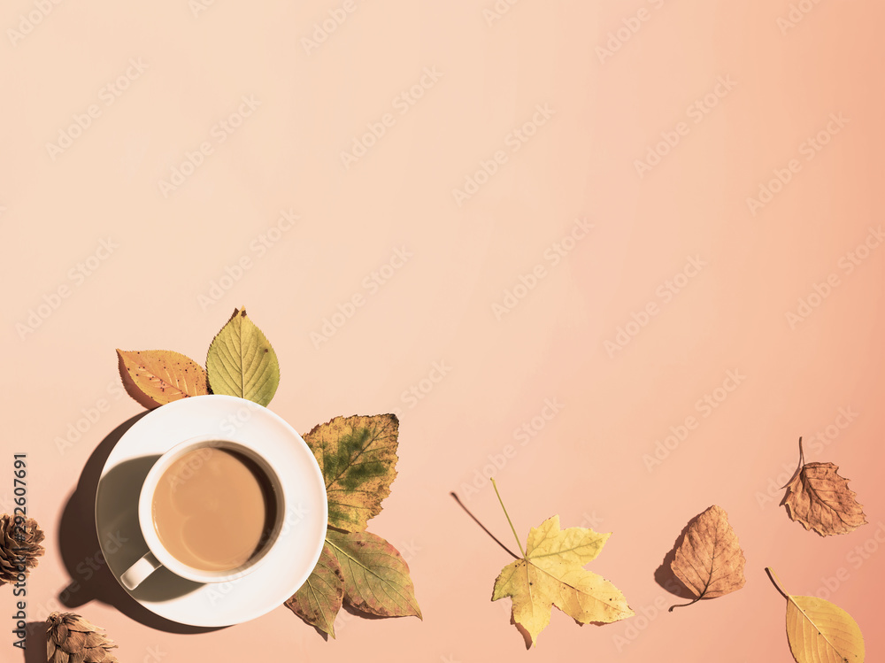 秋天主题配一杯咖啡-俯视平躺