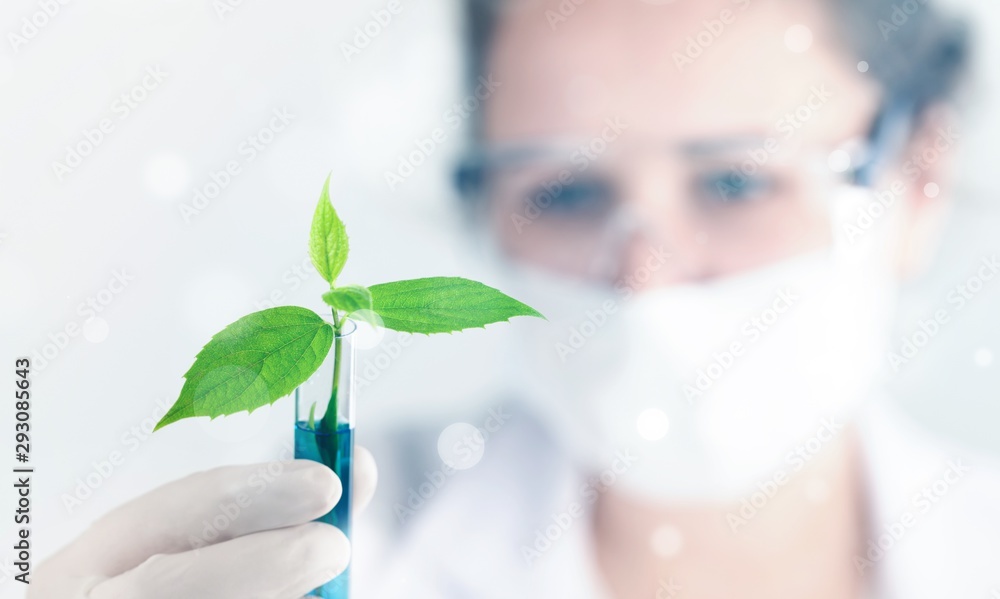 Scientist holds sprout lab laboratory plant agriculture agronomy analyzing