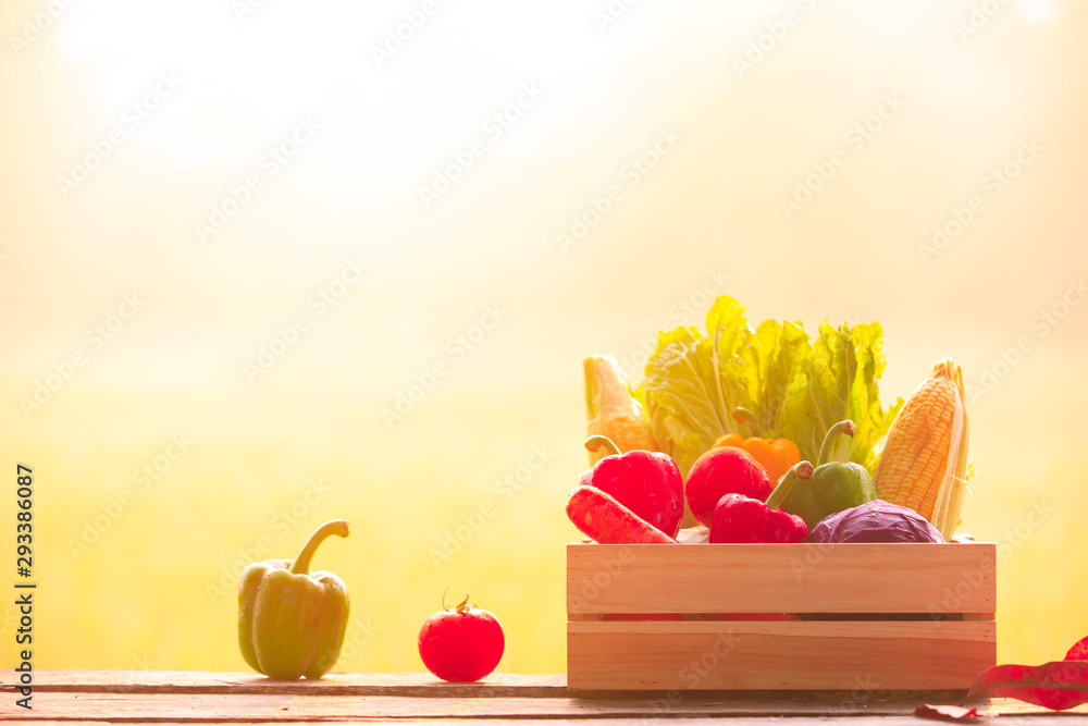 Organic vegetables in wooden boxes, fresh vegetables with natural background, organic vegetables and